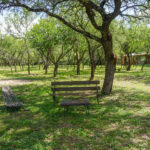 parque-cabañas-calles-de-la-sierra-las-calles