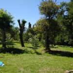 parque-posada-el-huaico