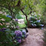 parque-posada-el-huaico-las-calles