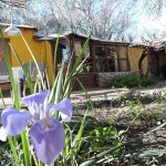 frente-cabaña-Sapo Amarrillo-las-calles