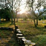 parque-La Lourditas-las-calles