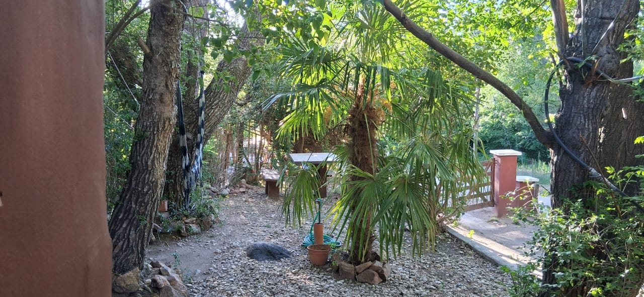 Imagen de WhatsApp 2025-10-29 a las 18.39.55_5b06c156