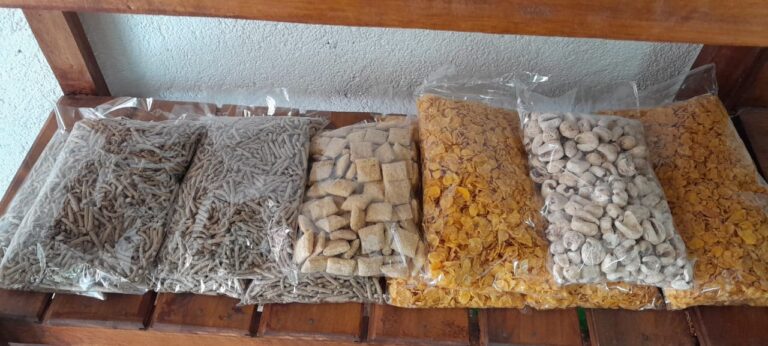 WhatsApp Image 2024-10-17 at 12.38.43 PM (1)