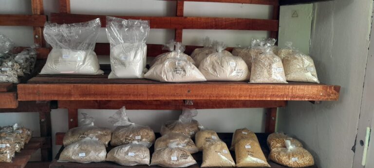 WhatsApp Image 2024-10-17 at 12.38.44 PM (1)