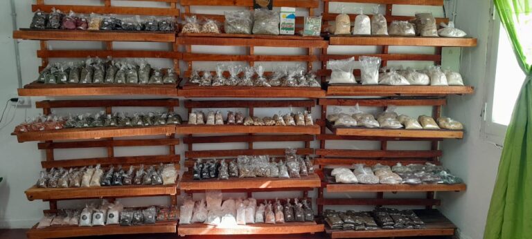 WhatsApp Image 2024-10-17 at 12.38.44 PM