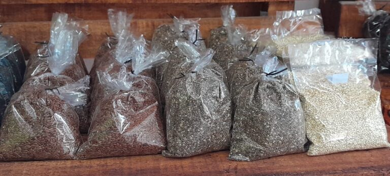 WhatsApp Image 2024-10-17 at 12.38.45 PM