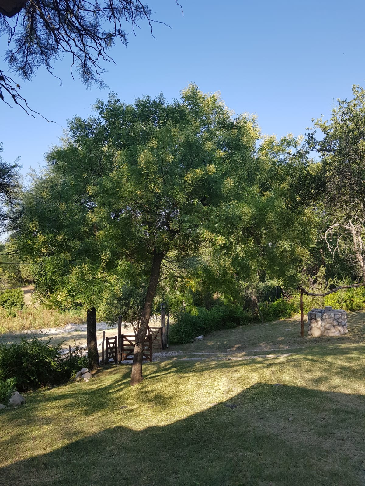 Imagen de WhatsApp 2025-11-15 a las 20.32.47_7c71db86