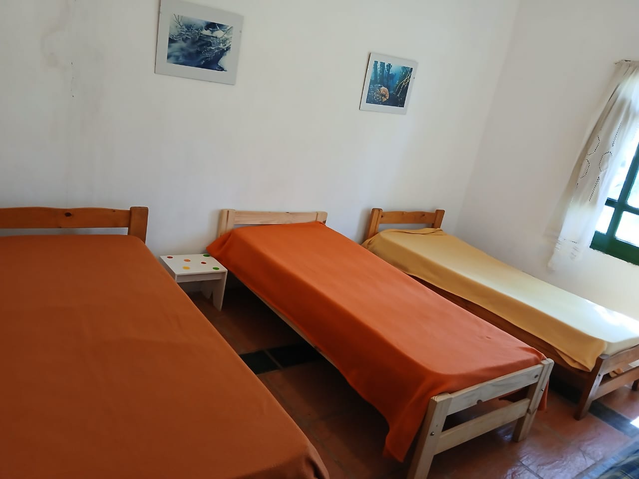 Imagen de WhatsApp 2025-11-15 a las 20.32.47_984cadb2